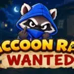 Raccoon Raid: Wanted