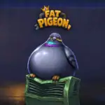 Fat Pigeon