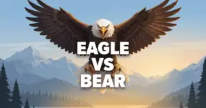 Eagle vs Bear