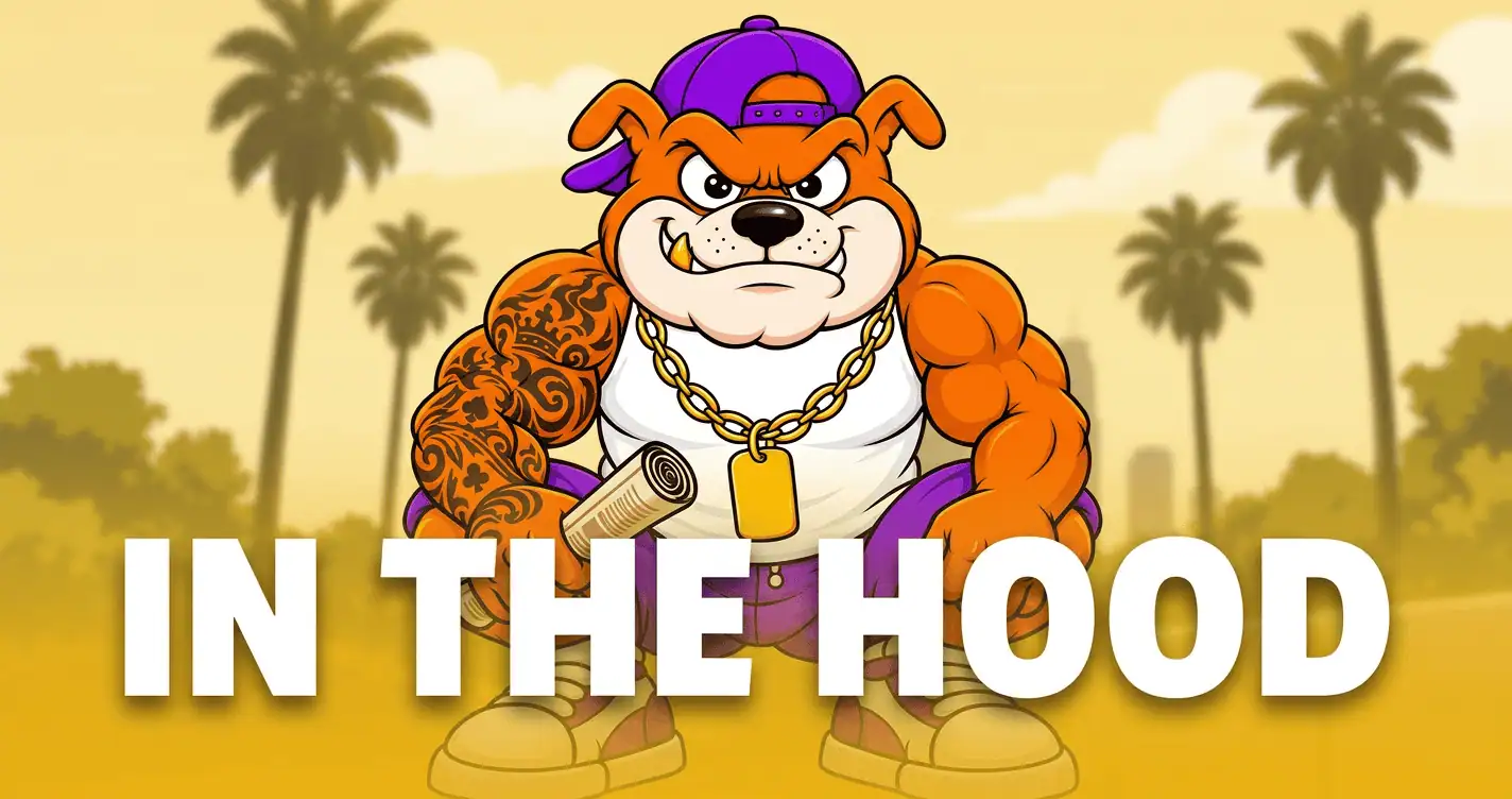 in the hood Slot Demo by Pixiplay slot cover image