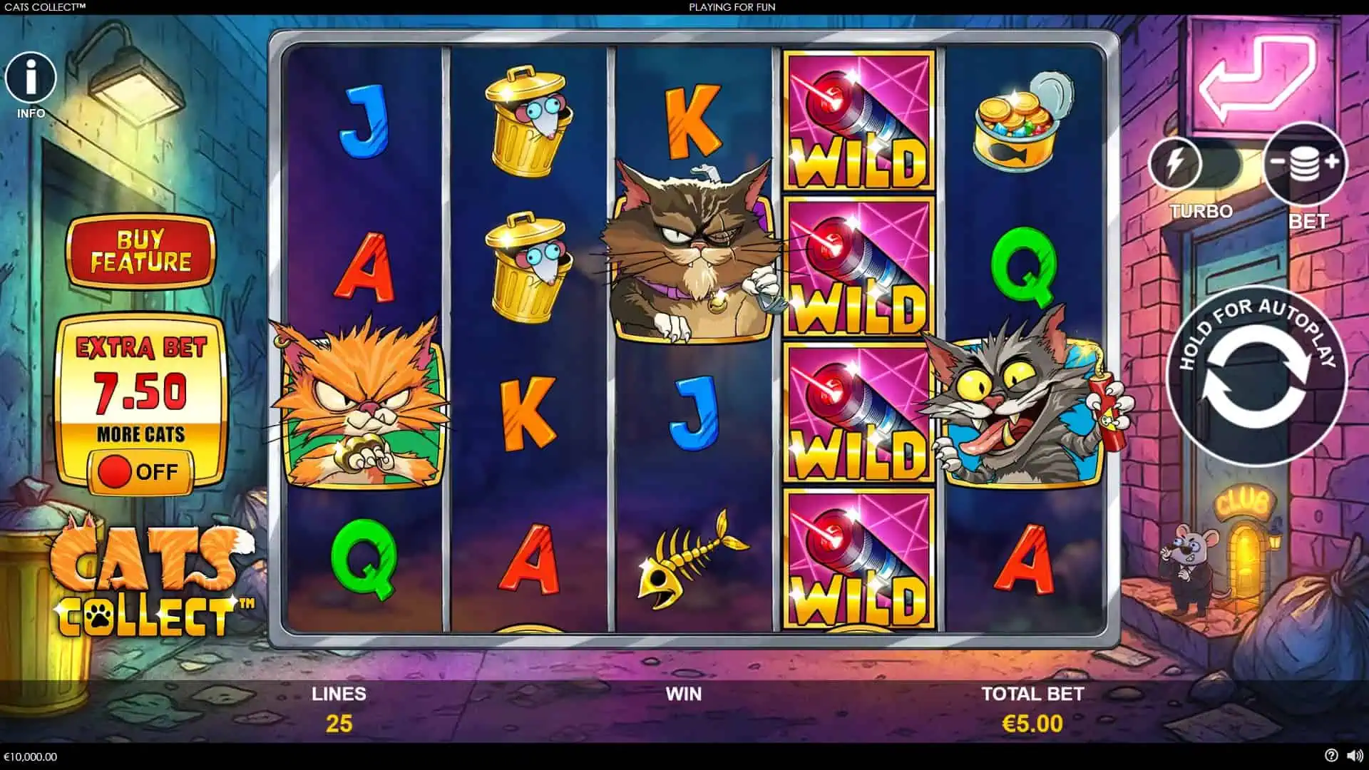 Cats Collect slot gameplay reels