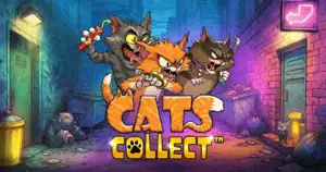 Cats Collect