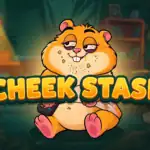 Cheek Stash