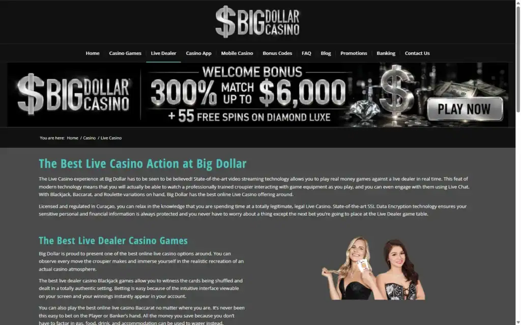 Big Dollar Casino: Live Casino