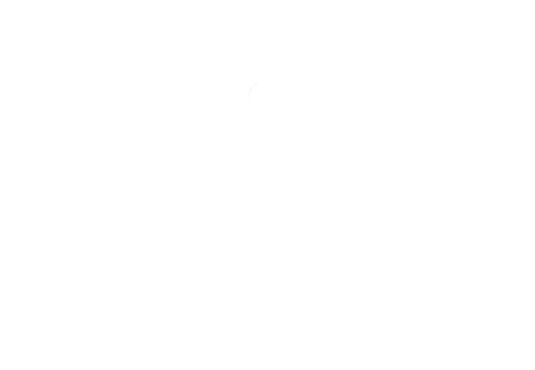 Miami Dice Casino