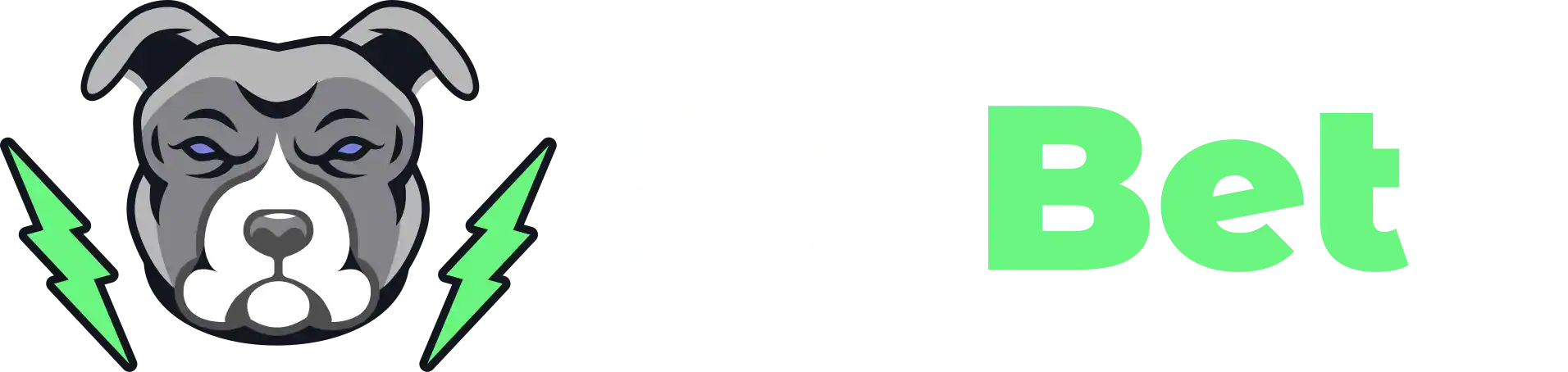 Pit Bet Casino