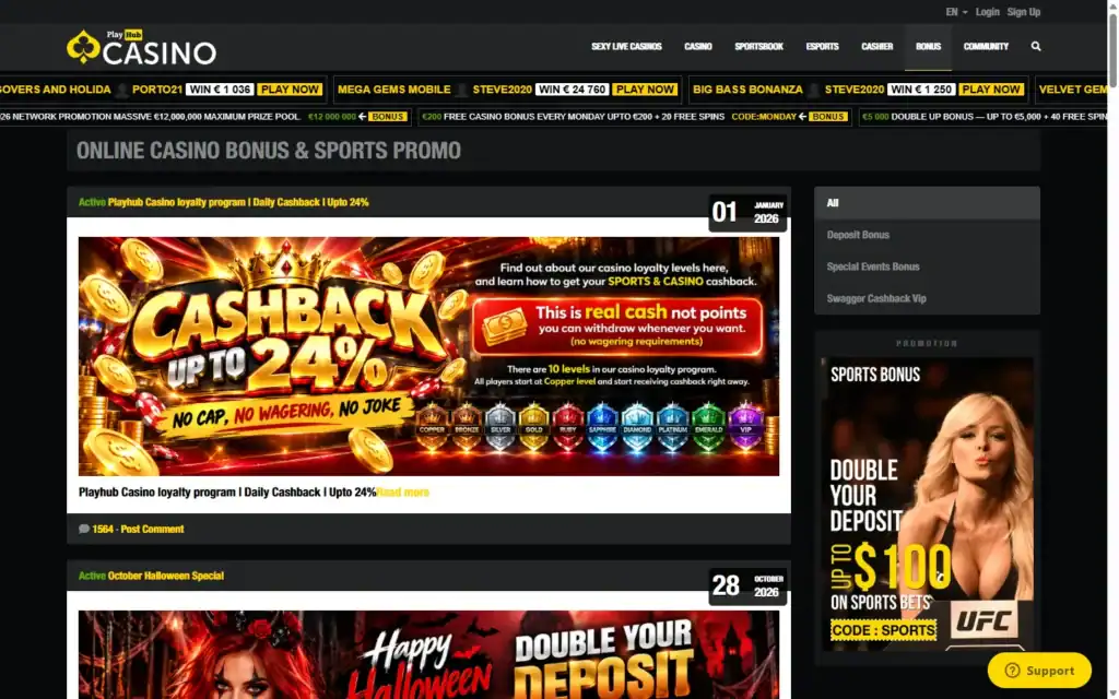 Playhub Casino: Bonus