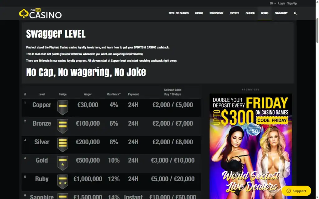 Playhub Casino: VIP