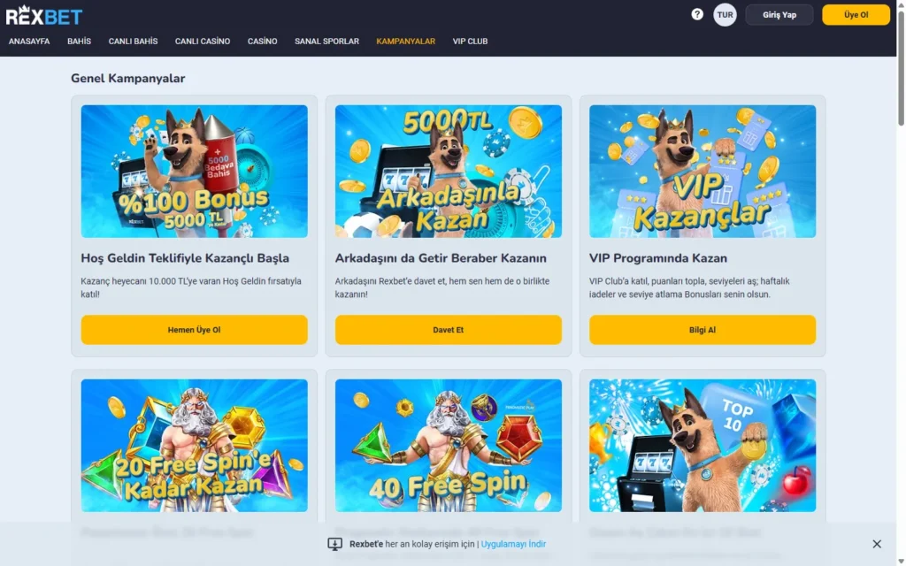 Rexbet Casino: Bonus