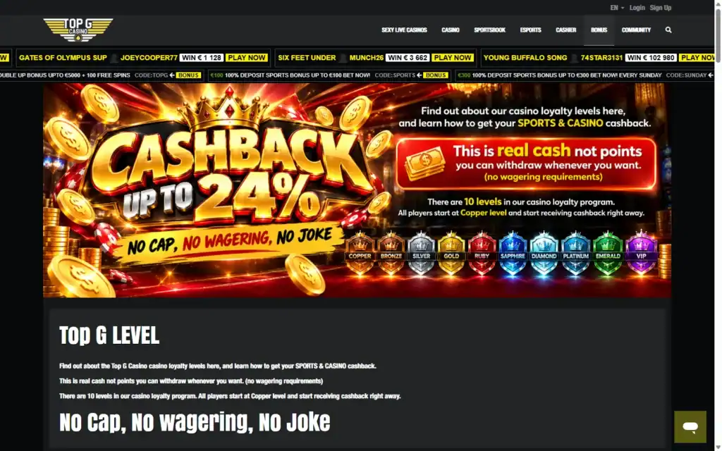 Top G Casino: VIP