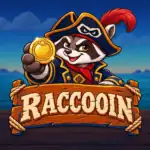 Raccooin