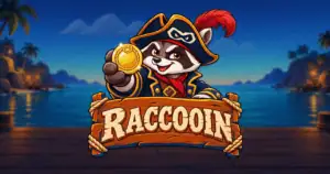 Raccooin