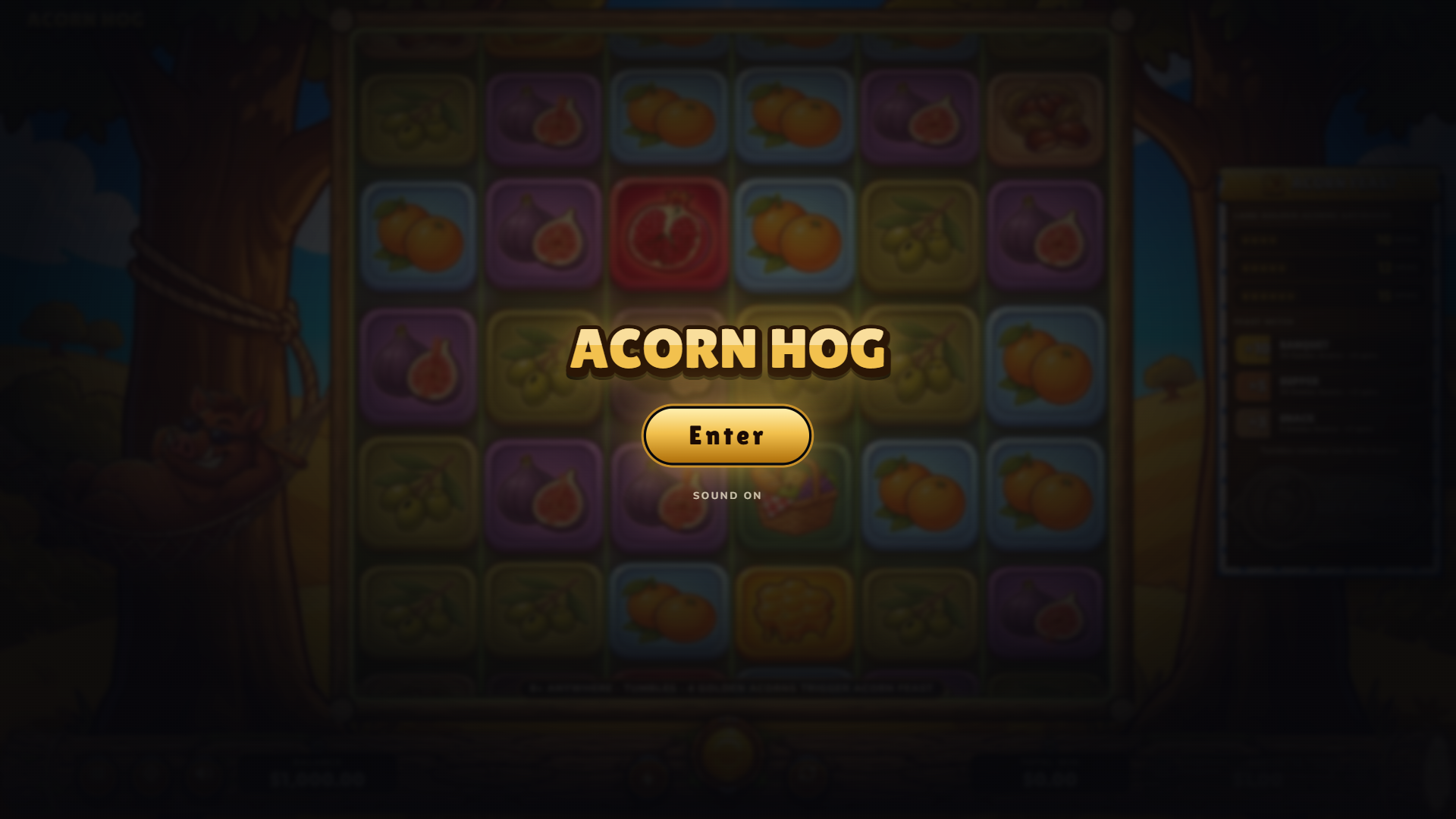 Acorn Hog slot intro screen