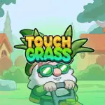 Touch Grass