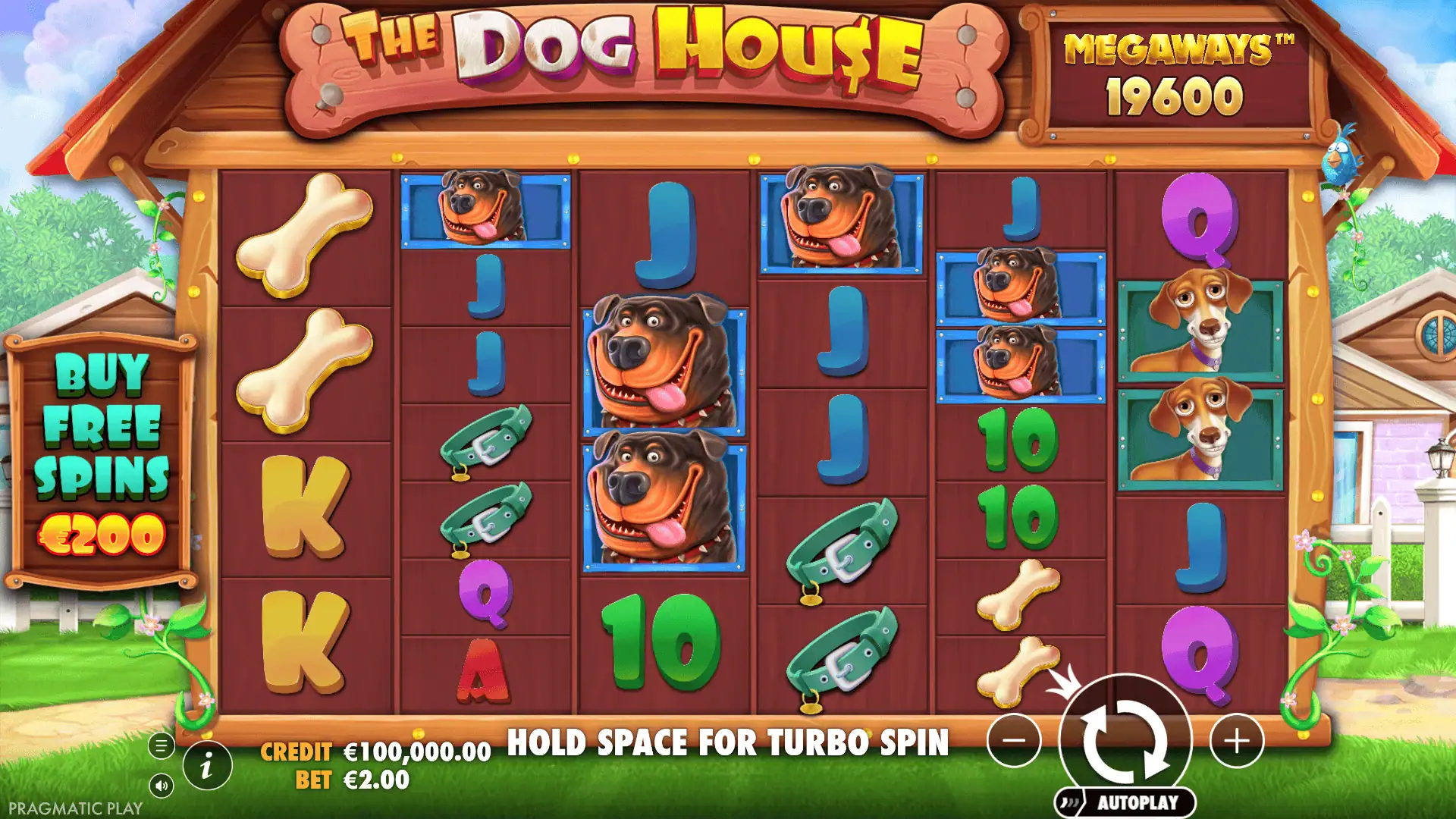 The Dog House Megaways slot gameplay reels