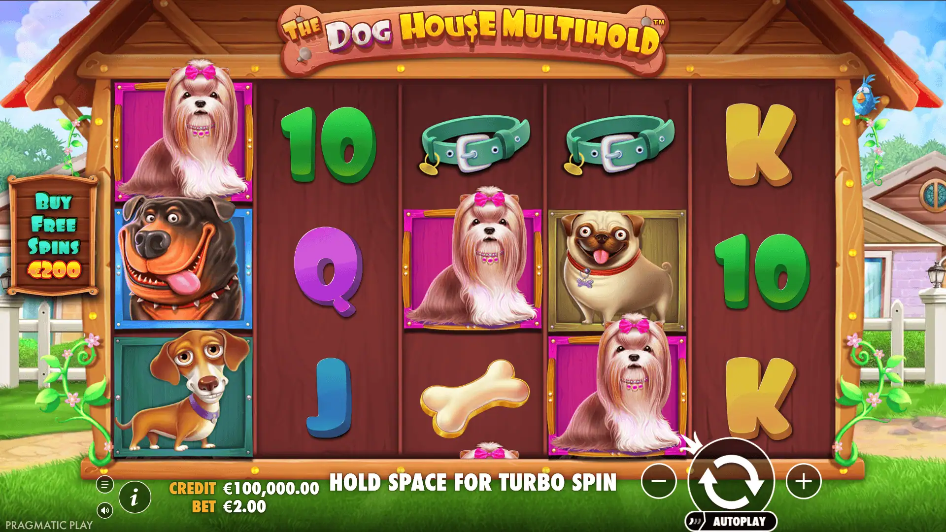 The Dog House Multihold slot gameplay reels