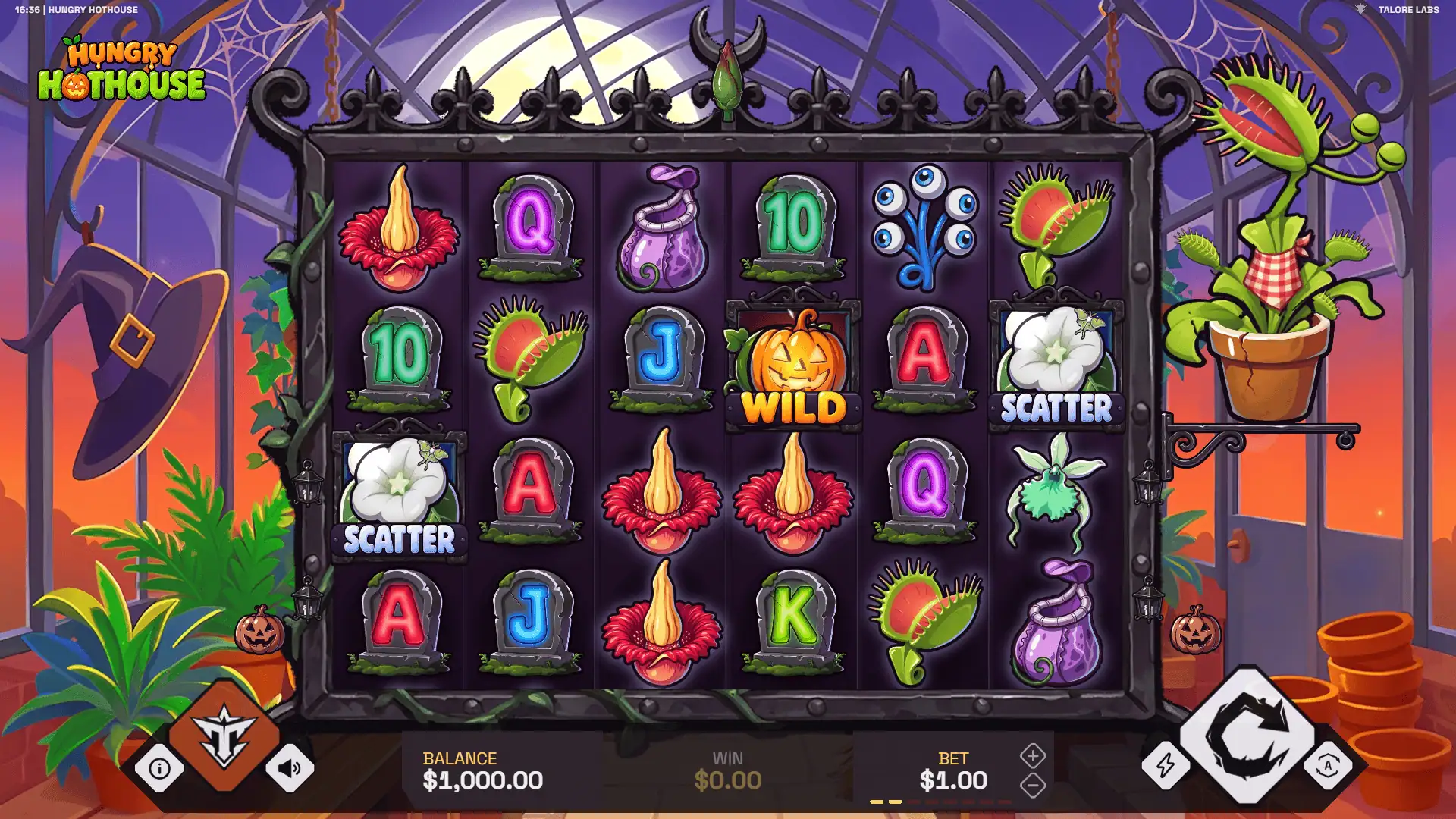Hungry Hothouse slot gameplay reels